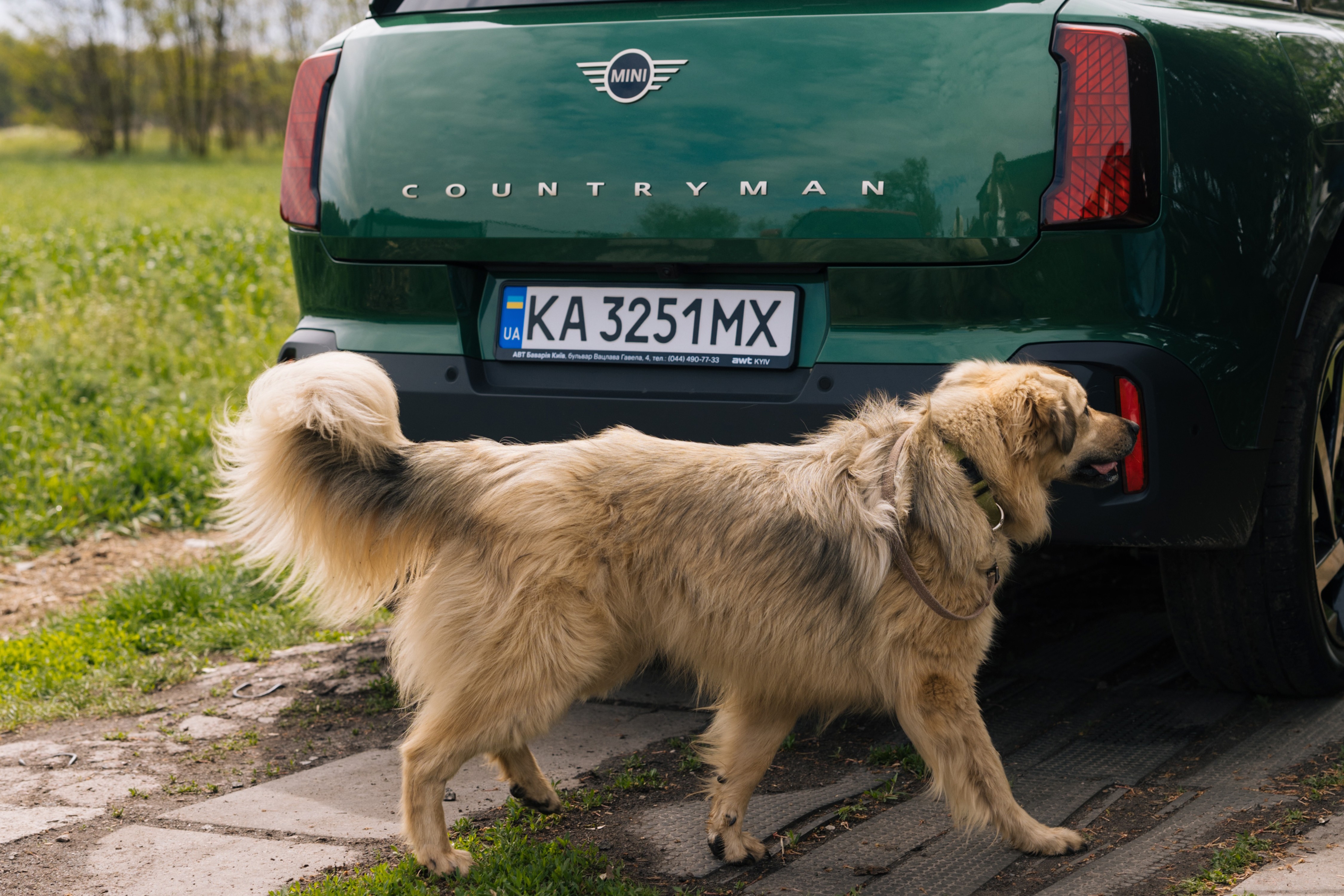 Оновлення притулку «Велике серце»
